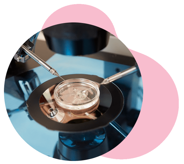 ivf procedure doctor in gujarat