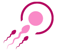 Natural IVF Treatment