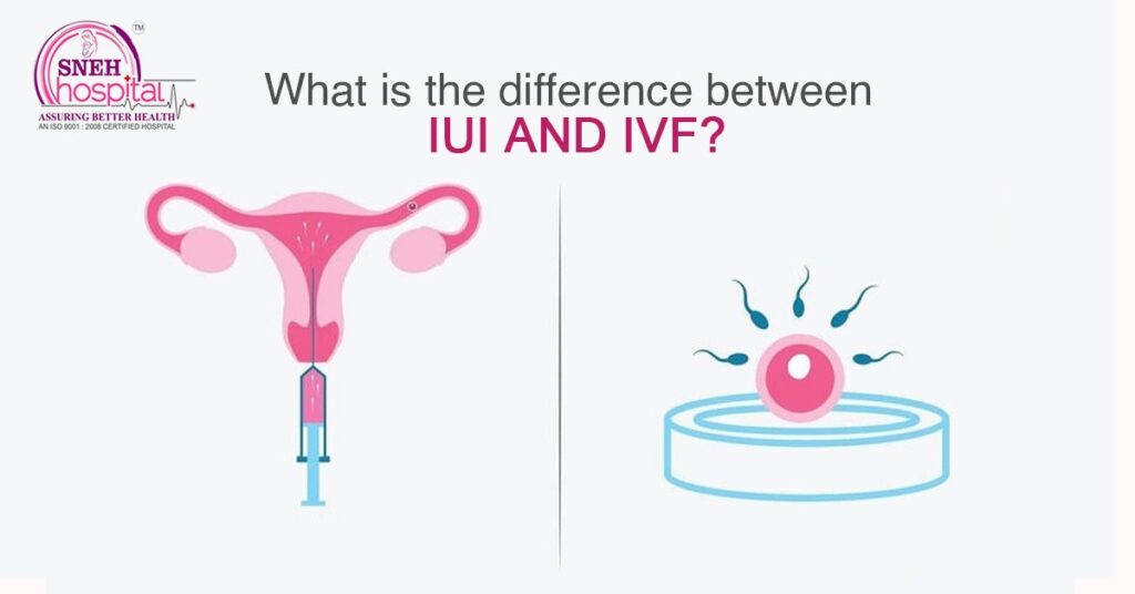 What Is The Difference Between IUI And IVF?