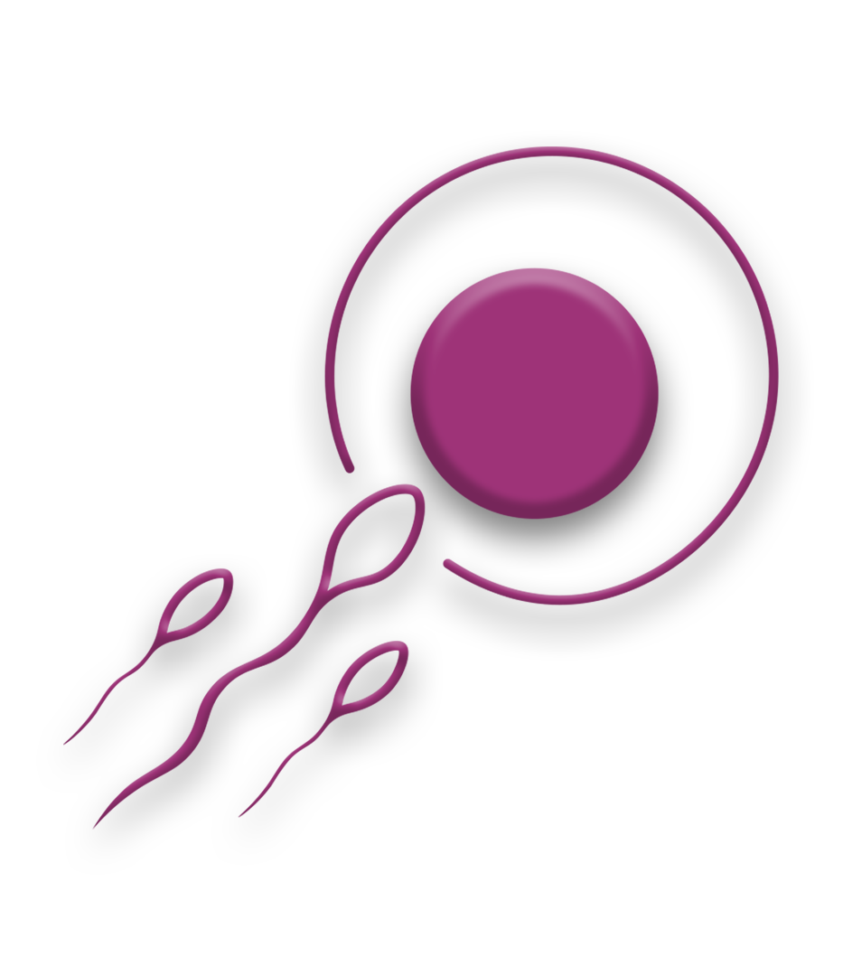 Best Surrogacy Treatment In Ahmedabad