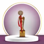 National Healthcare Excellence Award